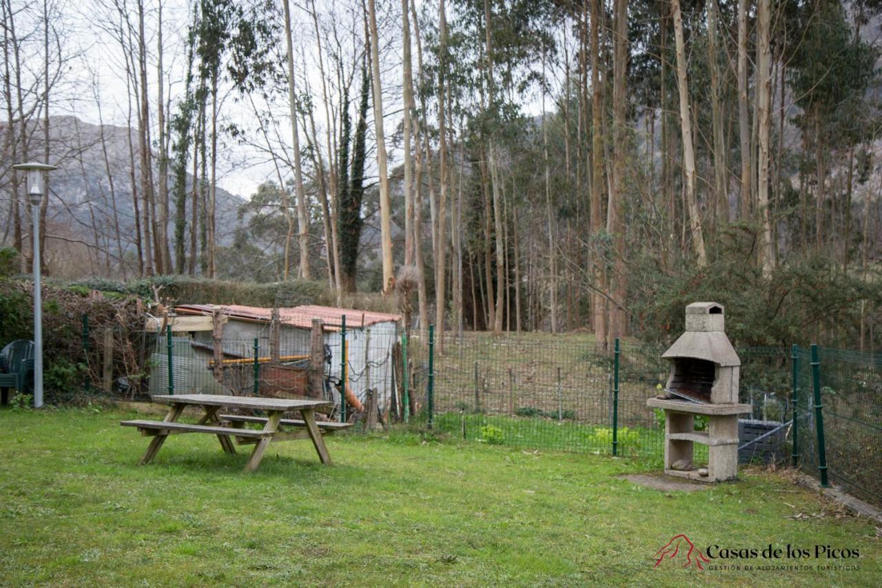 Apartamento El Soplao - Casas De Los Picos Celis Zewnętrze zdjęcie